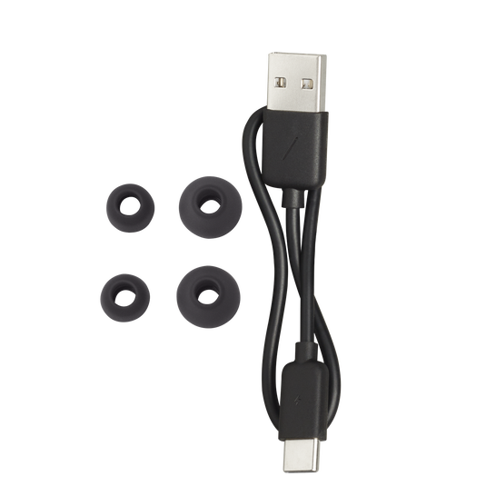 Harman Kardon FLY TWS | 完全ワイヤレスヘッドホン